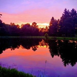 Meet your Posher, Shelly